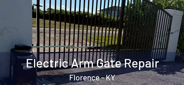 Electric Arm Gate Repair Florence - KY