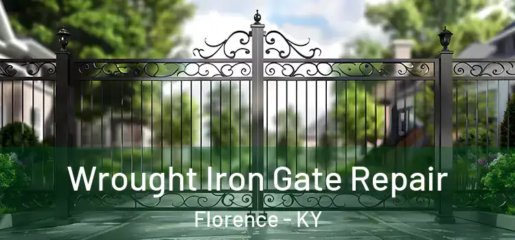 Wrought Iron Gate Repair Florence - KY